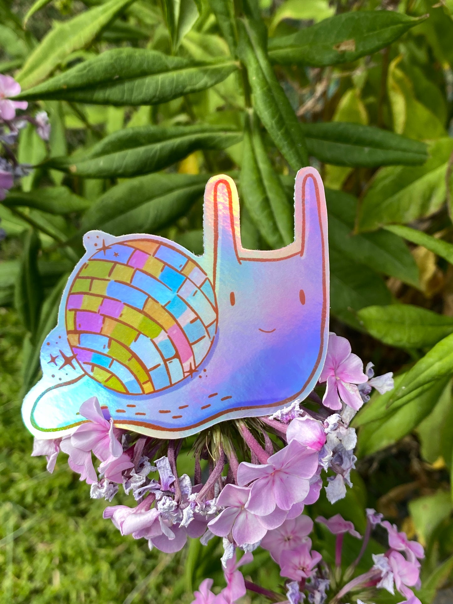 Disco Snail