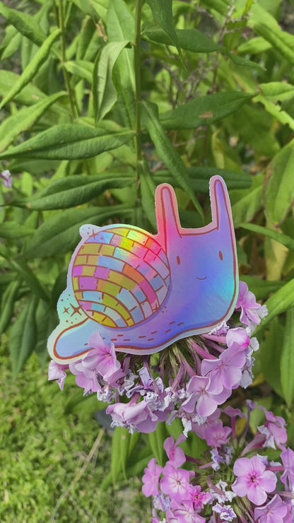 Disco Snail